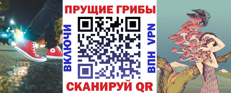 наркошоп  Харовск  Галлюциногенные грибы Psilocybine cubensis 