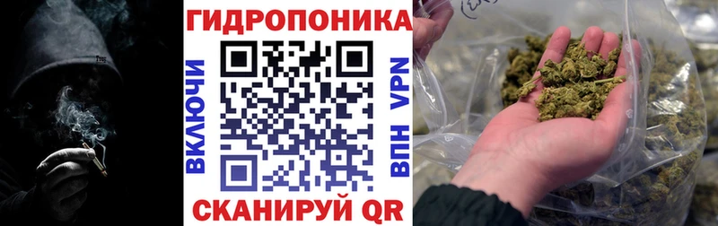 Шишки марихуана план  Харовск 